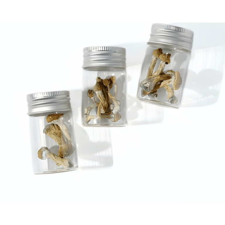 Magic Mushrooms 3.5 grams Psilocybin South Africa