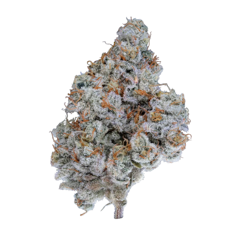 Glazed Pastries Azishe AAA Organic Indoor Cannabis 1 gram