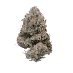 Slurricane Azishe AAA Organic Indoor Cannabis 1 gram