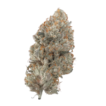Triple Cheese Azishe AAA Organic Indoor Cannabis 1 gram