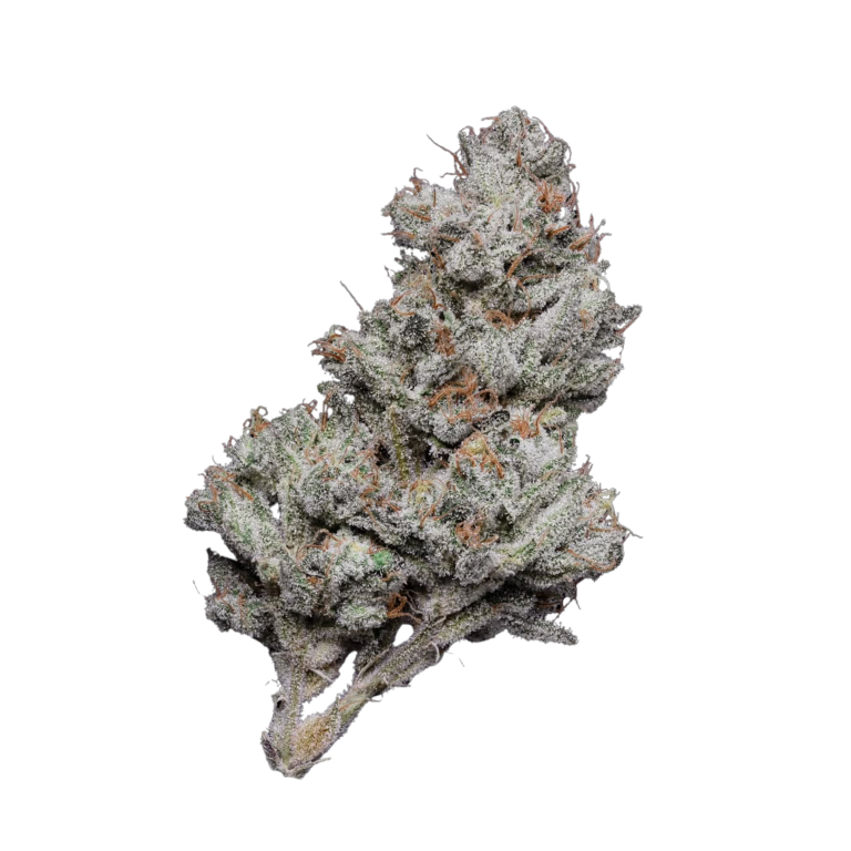 Cherry Whip Azishe AAA Organic Indoor Cannabis 1 gram