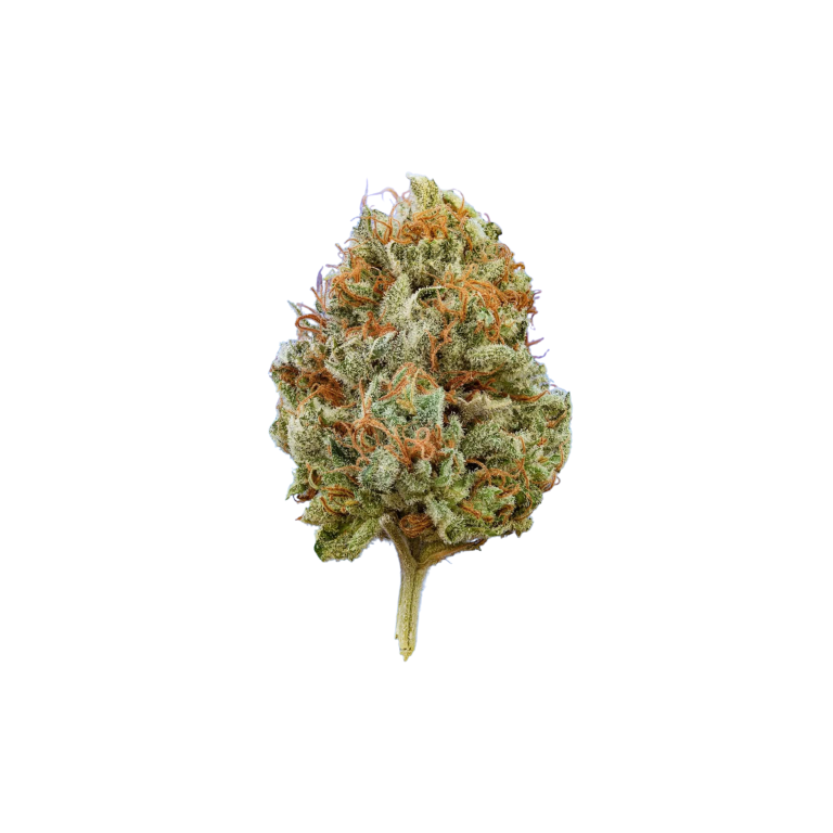 Sunset Sherbert Azishe Organic Indoor Cannabis 1 gram South Africa