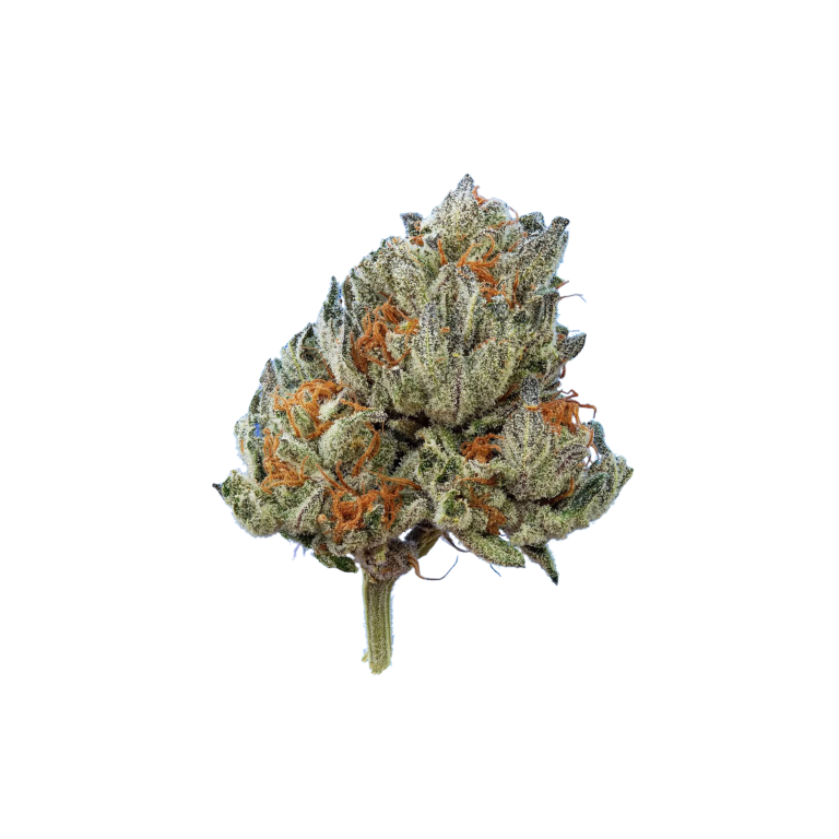 NBK Azishe AA Organic Indoor Cannabis 1 gram South Africa