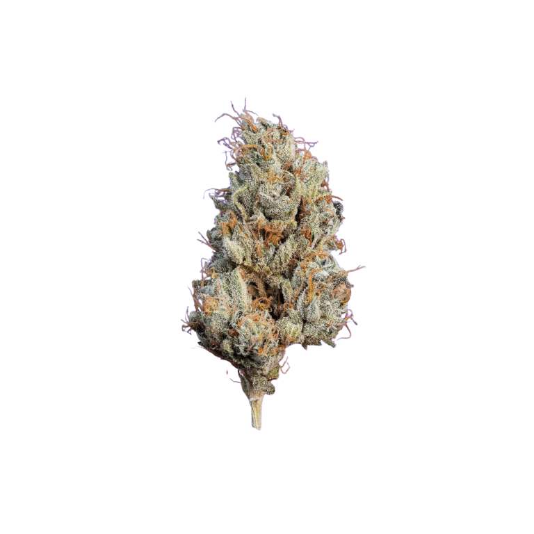 Future Wife Azishe AA Organic Indoor Cannabis 1 gram South Africa